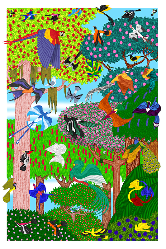 A Celebration of Birds