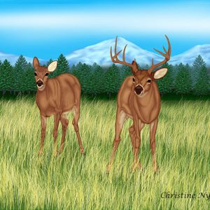 Deer