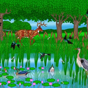 Pond