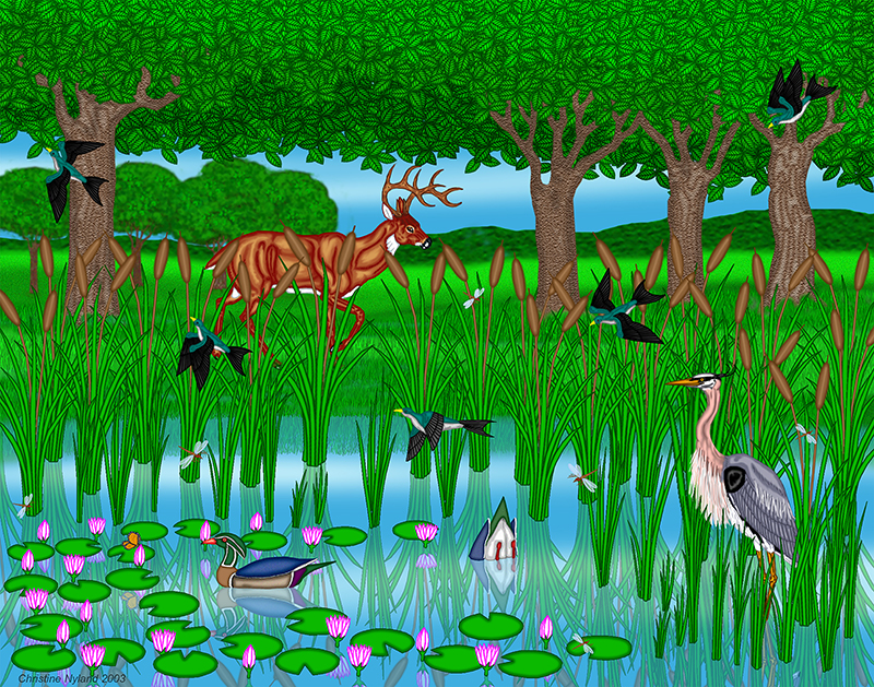 Pond