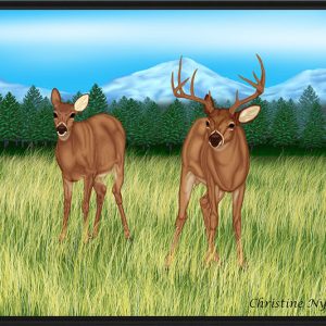 Deer