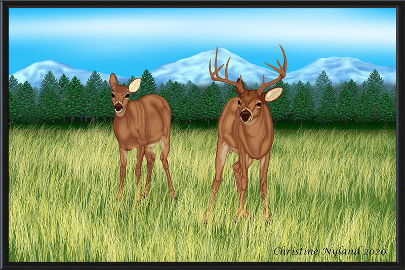 Deer