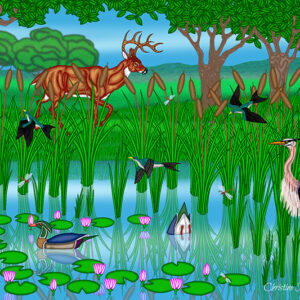 Pond