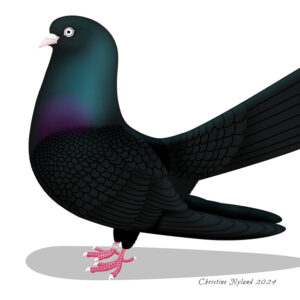 Flying Oriental Roller - Black