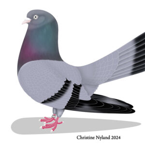Flying Oriental Roller - Blue Bar