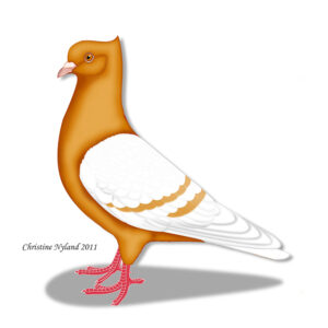 Archangel- White Wing Gold